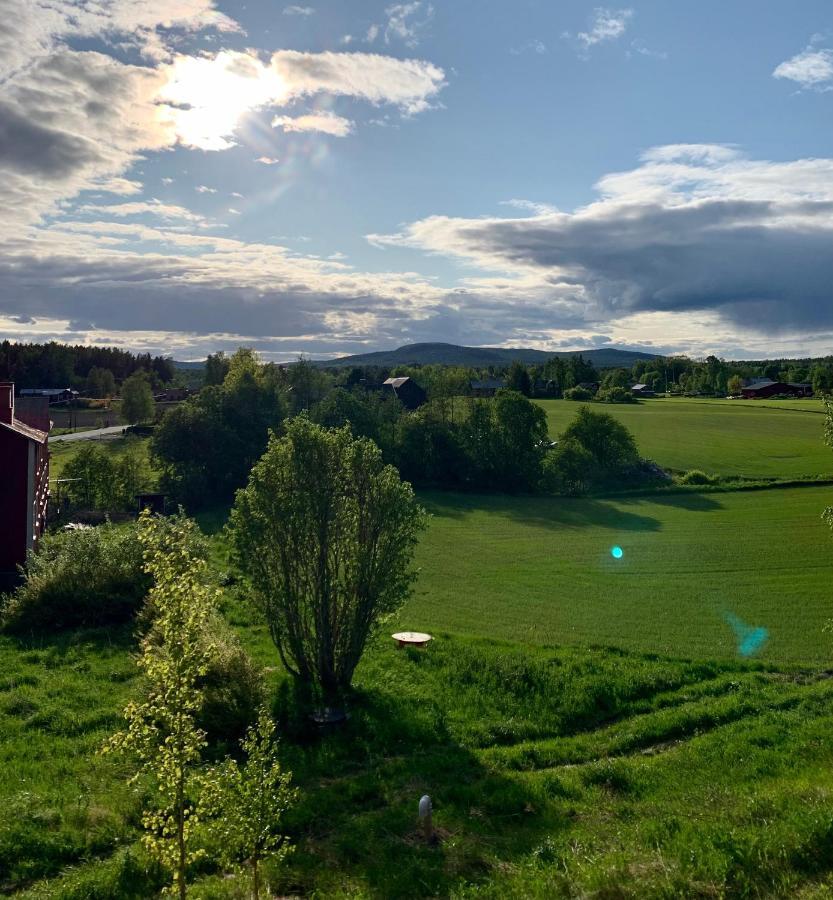 Apartamento Haga Mini Enånger Exterior foto